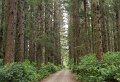 2019-06-12 Pre TN9-52